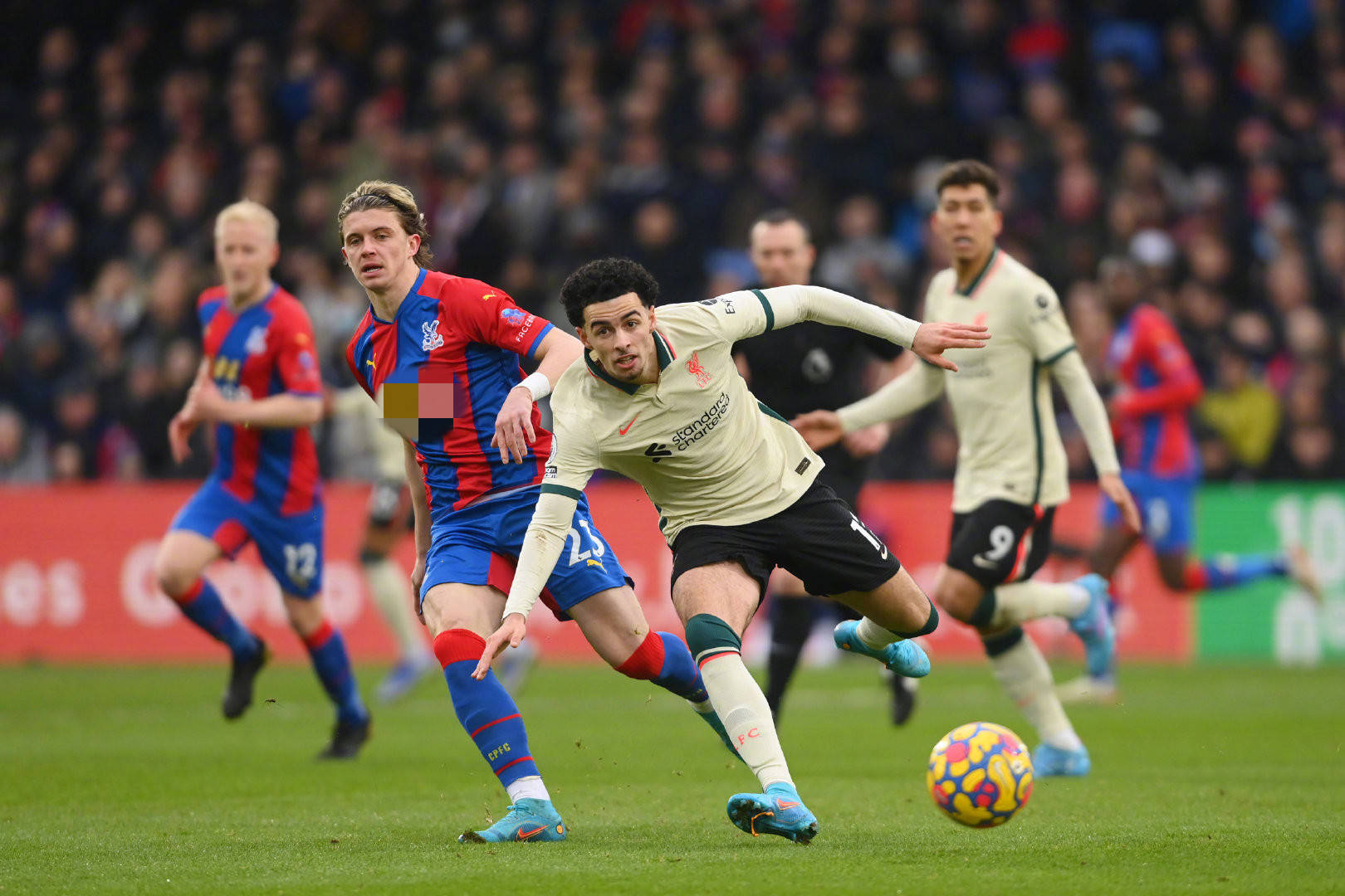 外国记者看 外国记者看