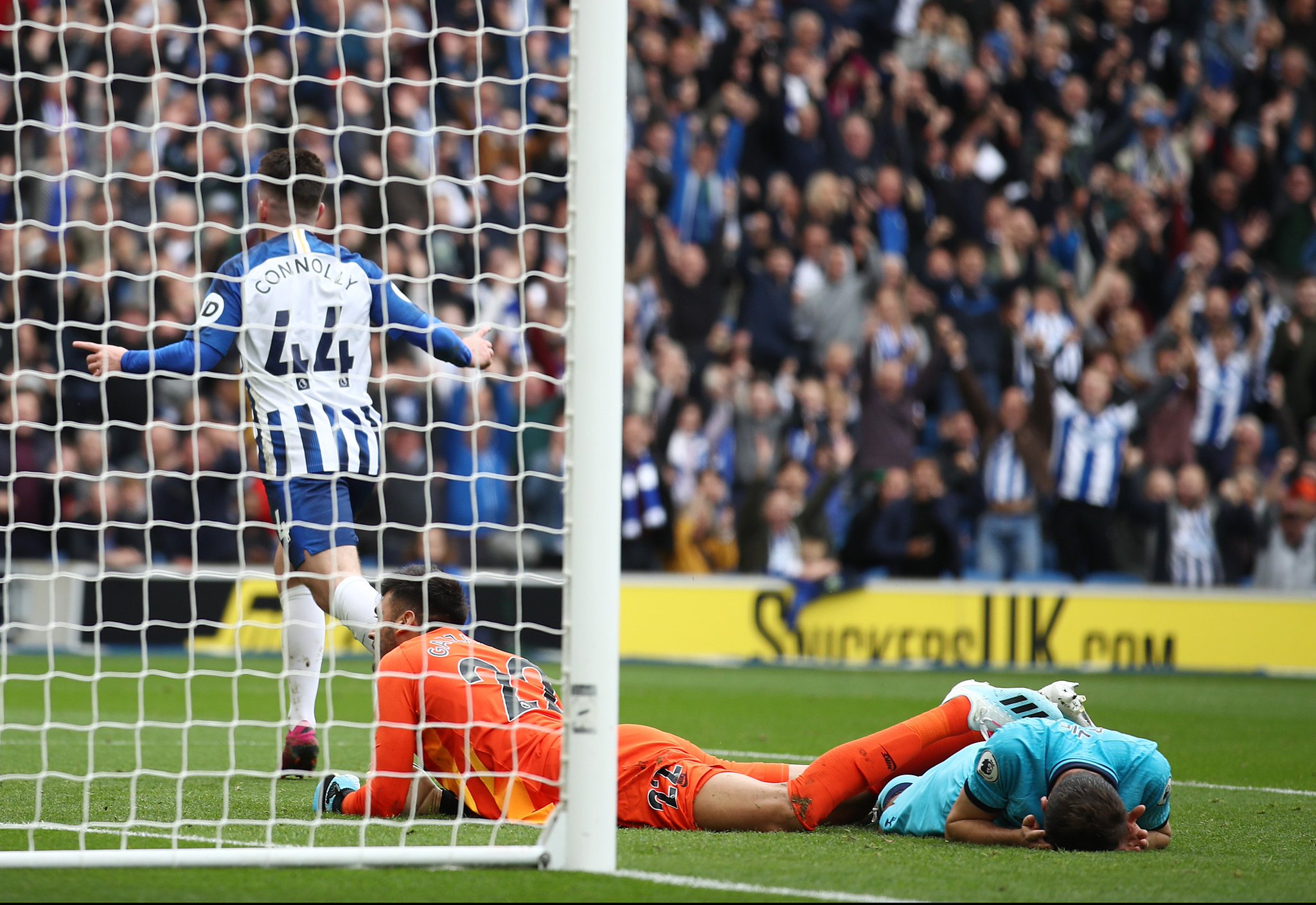 长的新秀 长的新秀